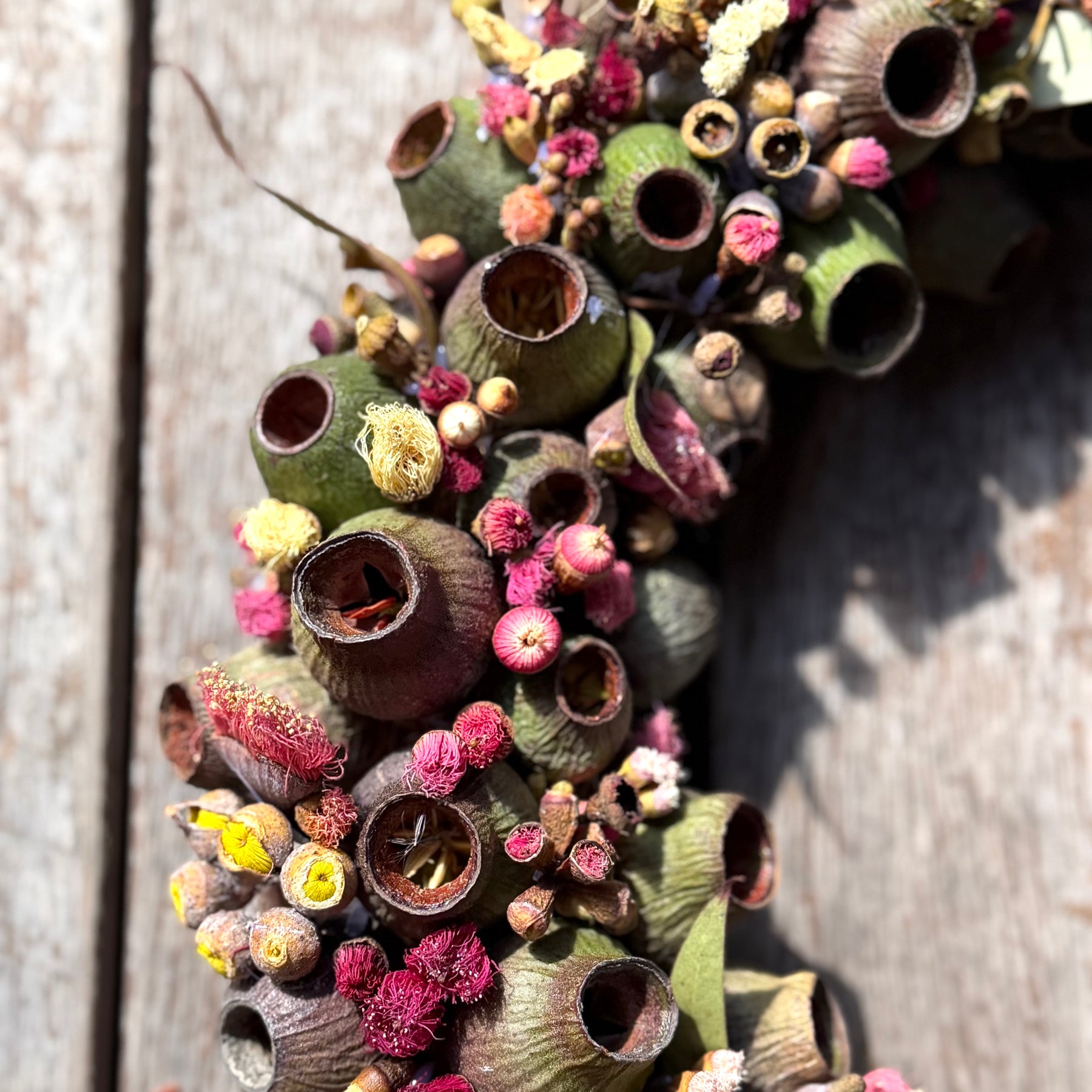 Australian Gumnut Wreath | Handmade Native Floral Wreath | Dried Eucalyptus & Gumnut Decor | Rustic Botanical Door Wreath | bushland Jewels
