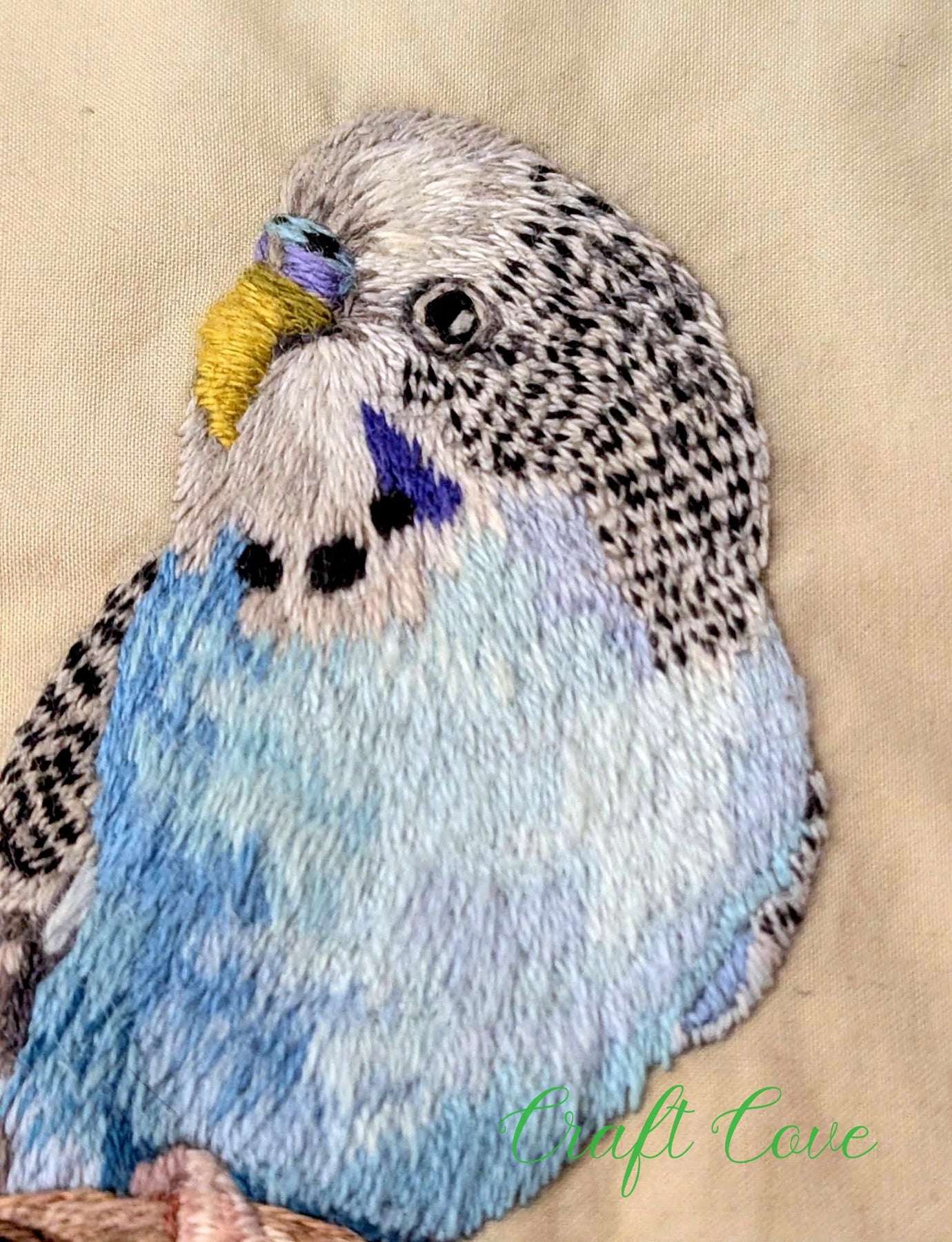 Thread Painted Budgie Embroidery