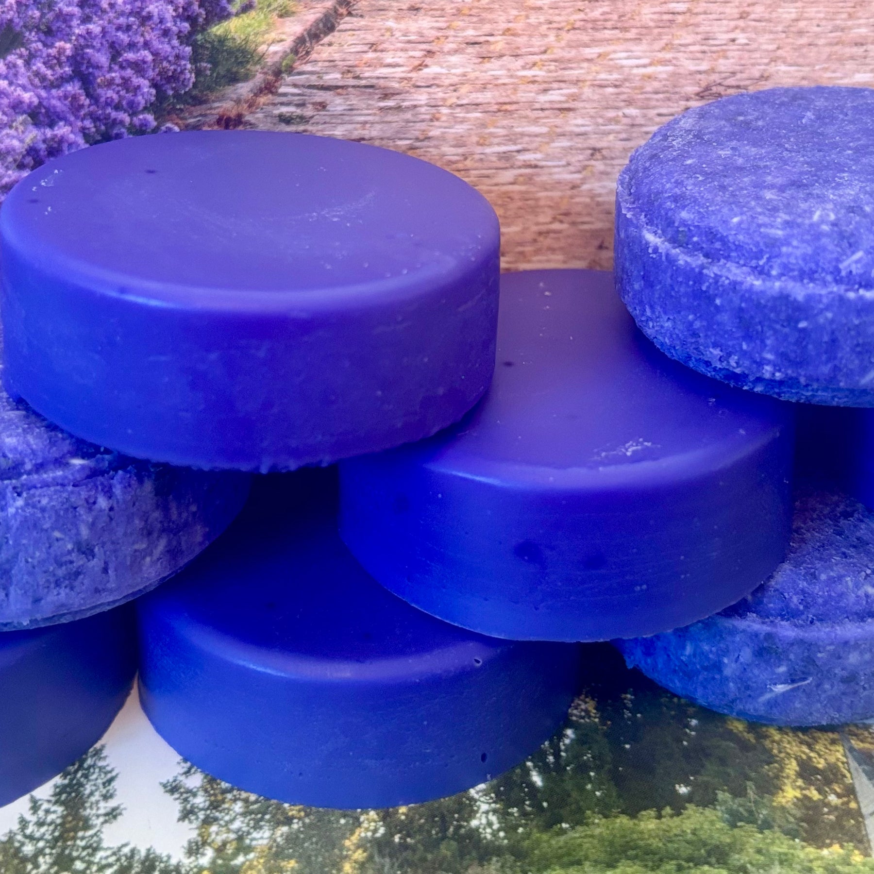 Twin Pack Purple Solid Shampoo & Solid Conditioner bars.
