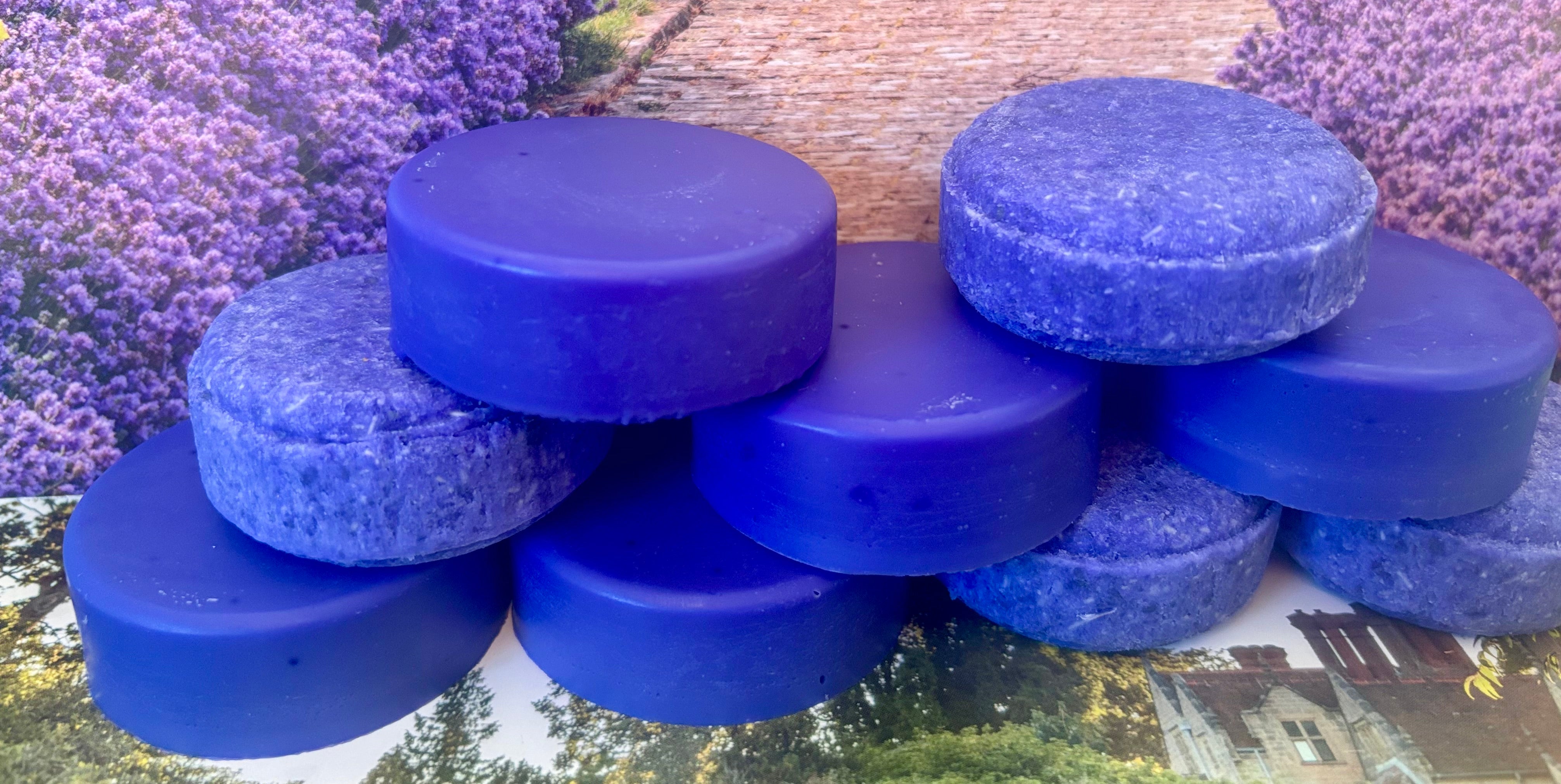 Twin Pack Purple Solid Shampoo & Solid Conditioner bars.