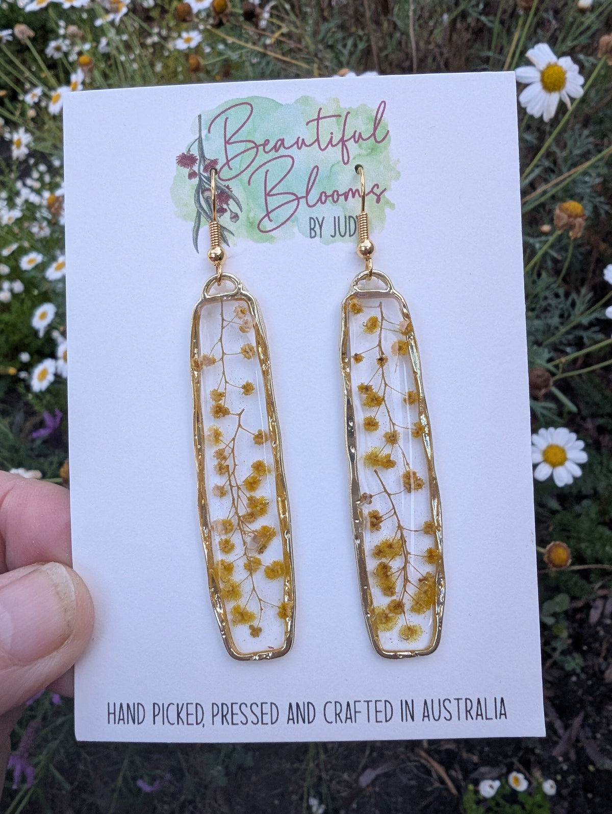 Real Australian Wattle Flower Resin Dangle Earrings