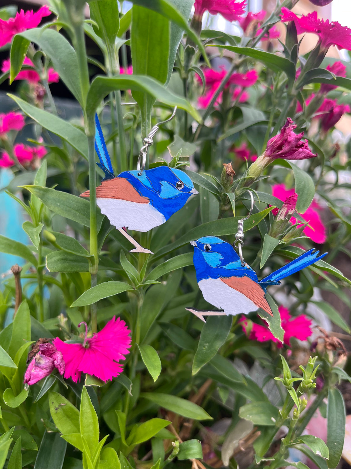 Superb Fairy-wren | Australian Native Bird | Earrings