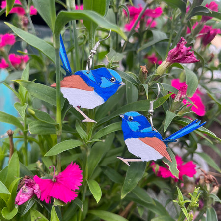 Superb Fairy-wren | Australian Native Bird | Earrings