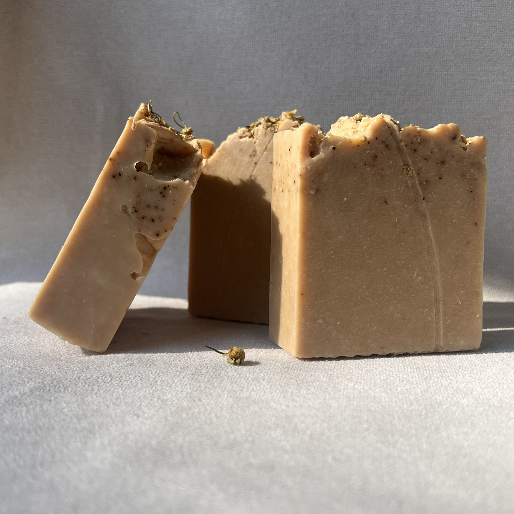 Limited collection | Wattle & Honey