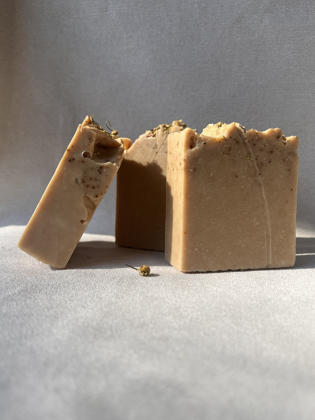 Limited collection | Wattle & Honey