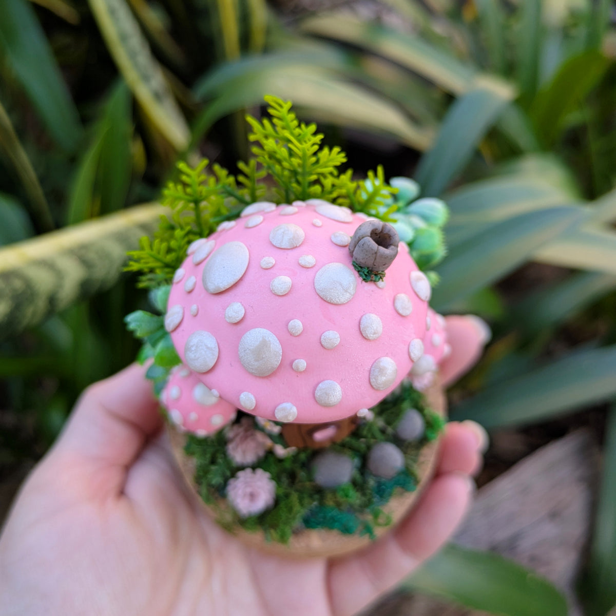 Pink Fairy Mushroom Houses in glass domes
