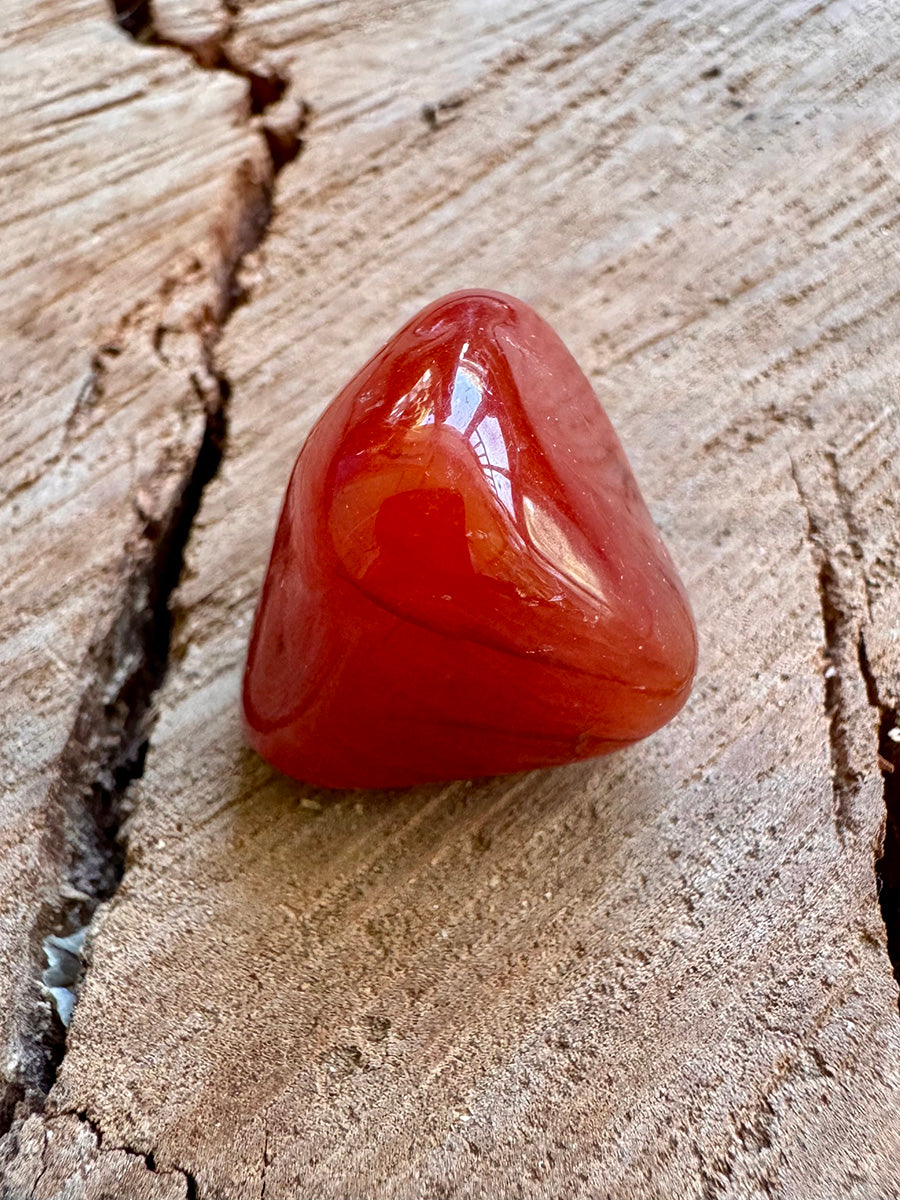 Soul Journal Package - Olive Green