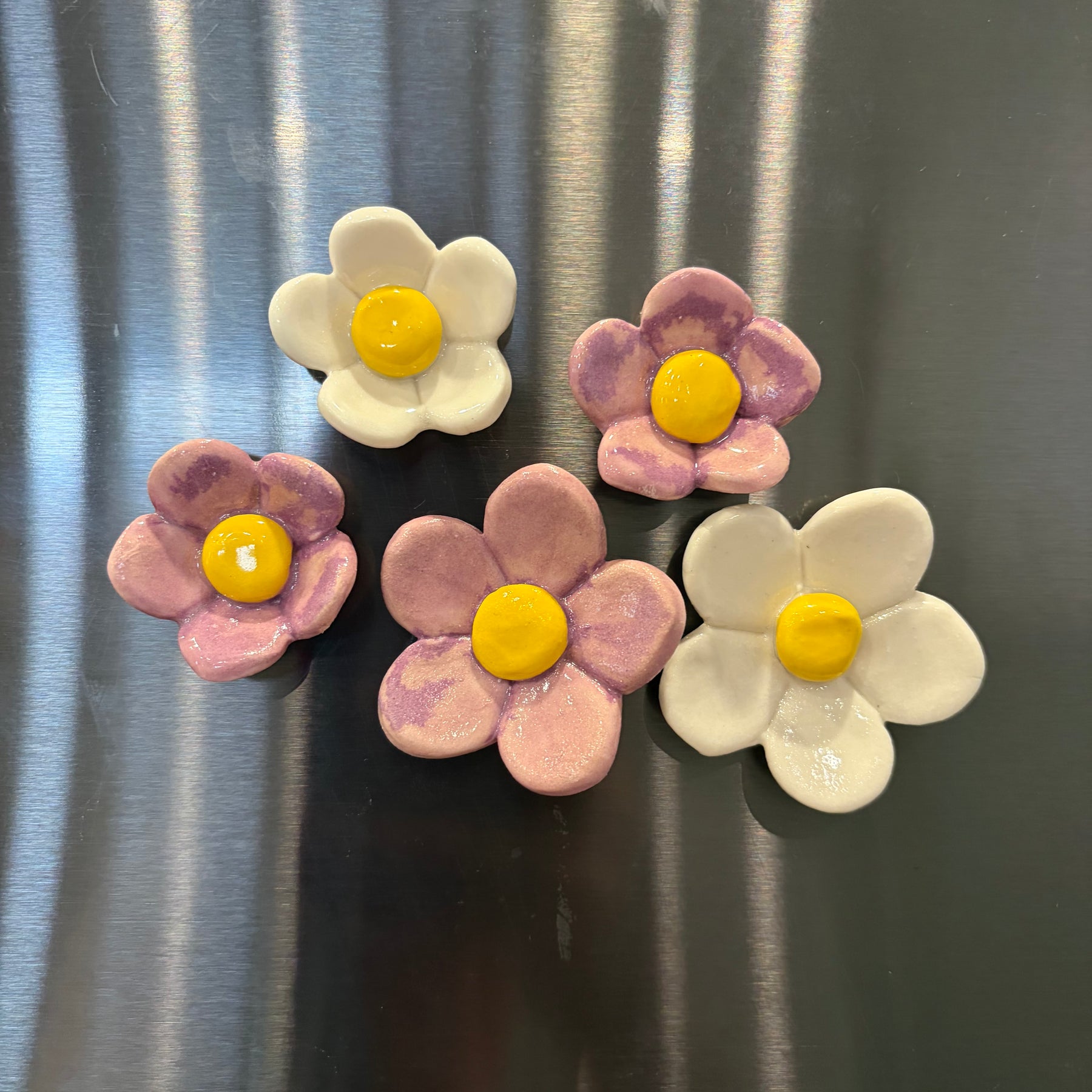 Ceramic Fridge Magnets - Blueberries - Citrus - Ladybeetles - Strawberries - Flowers