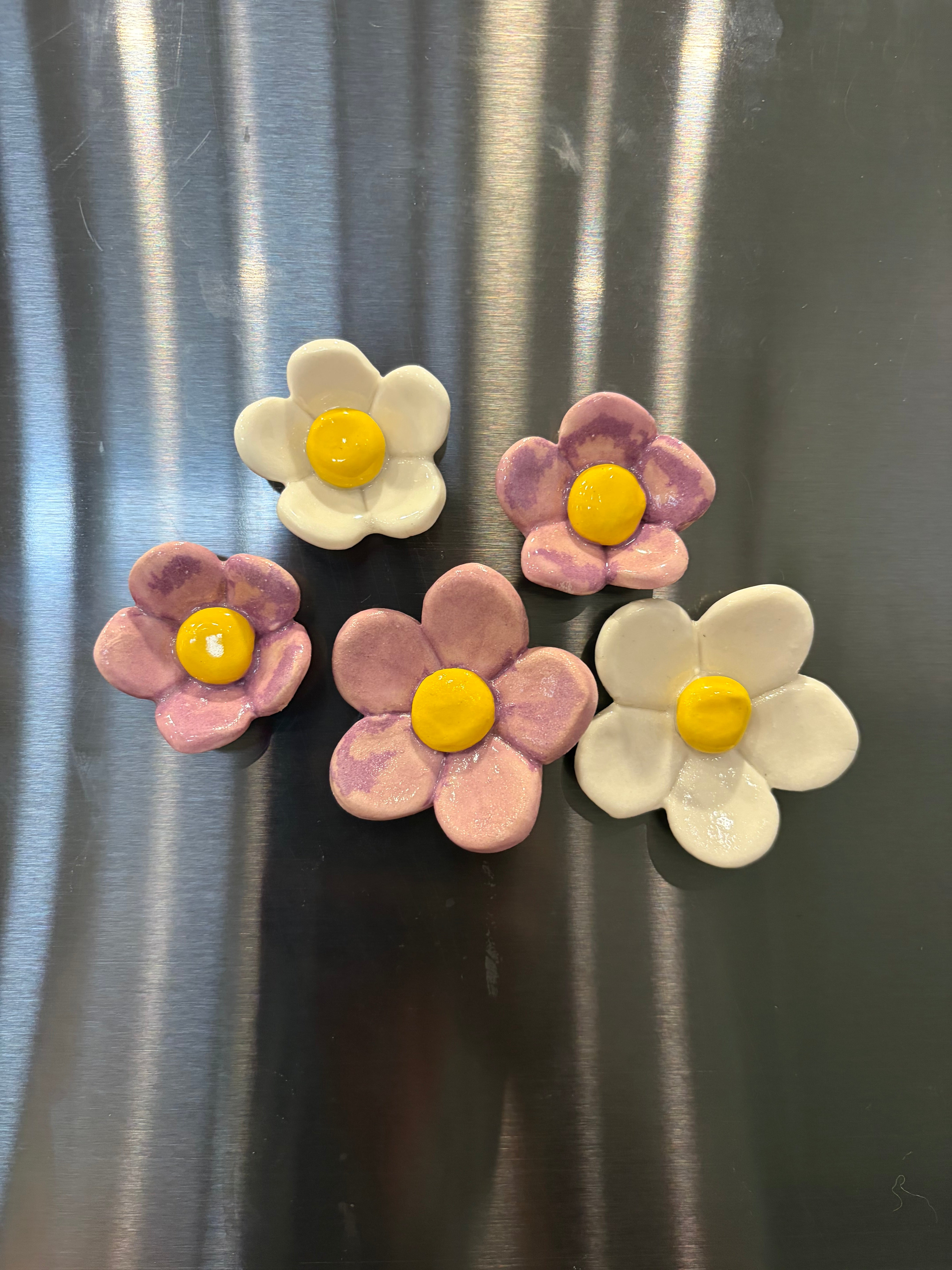 Ceramic Fridge Magnets - Blueberries - Citrus - Ladybeetles - Strawberries - Flowers