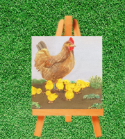 Farmyard Fun