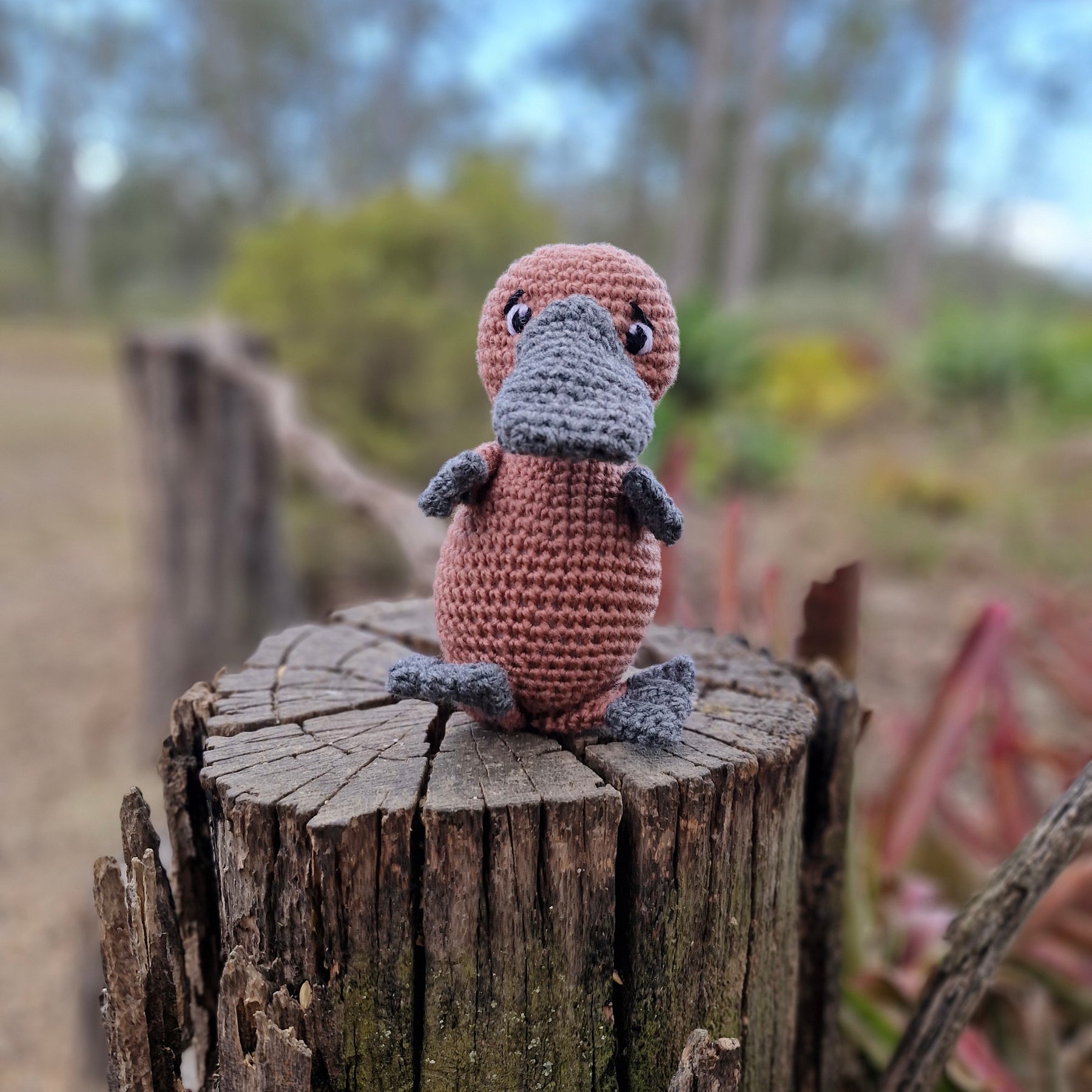Adorable Baby Platypus Hand Crochet