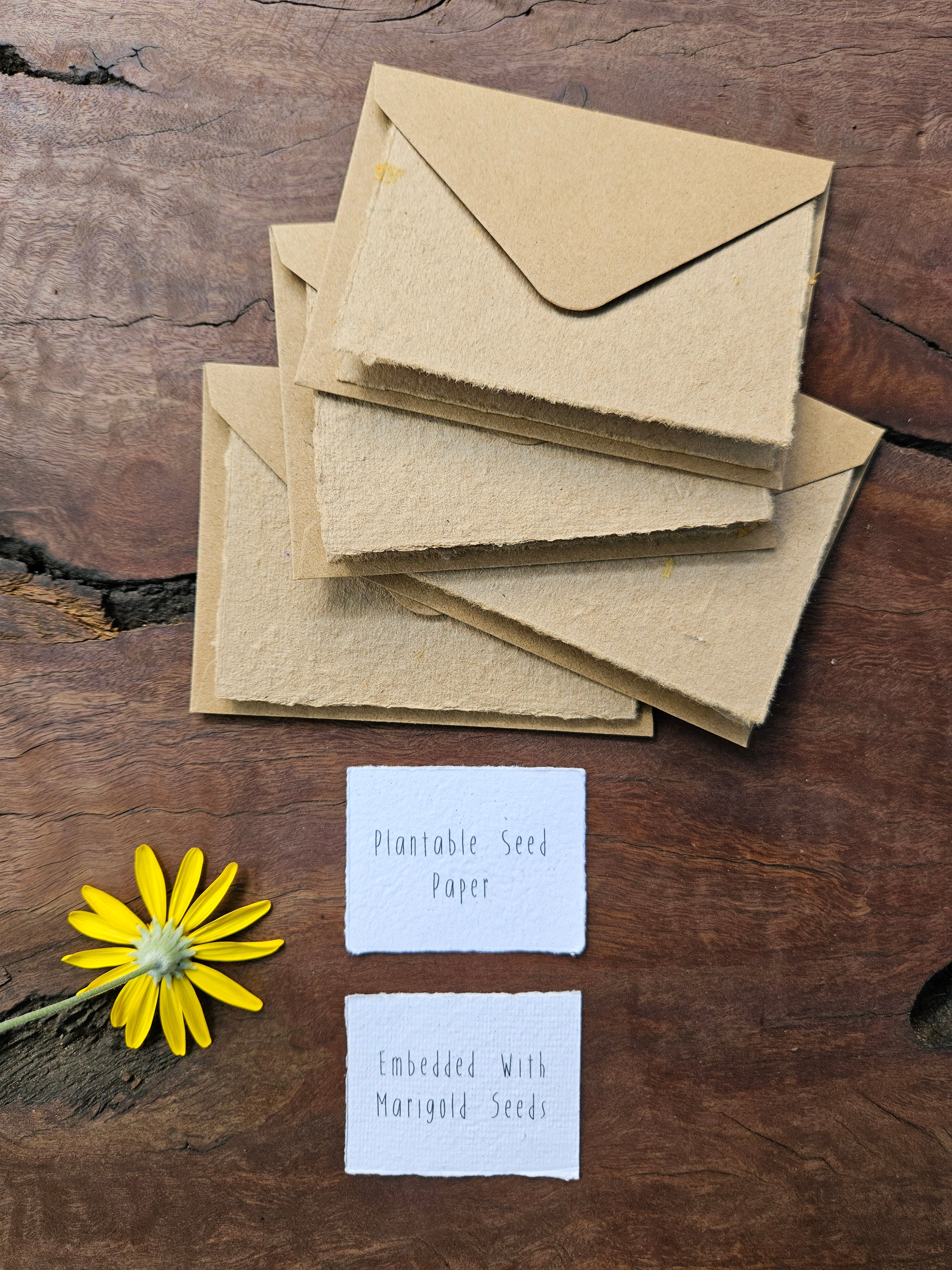 Seeded Plantable handmade paper gift cards- set of 4