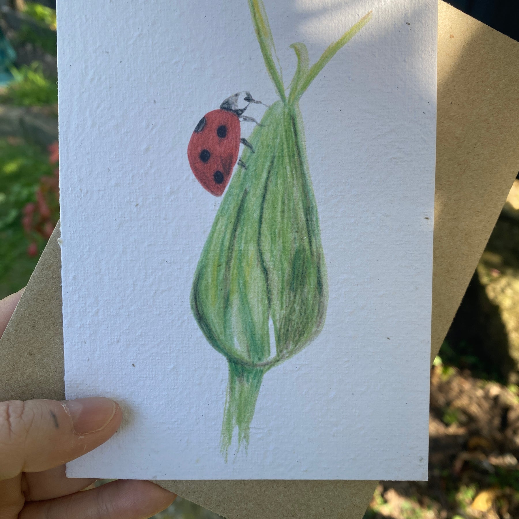 Greeting Card - Ladybird on a bud - Seed embedded card