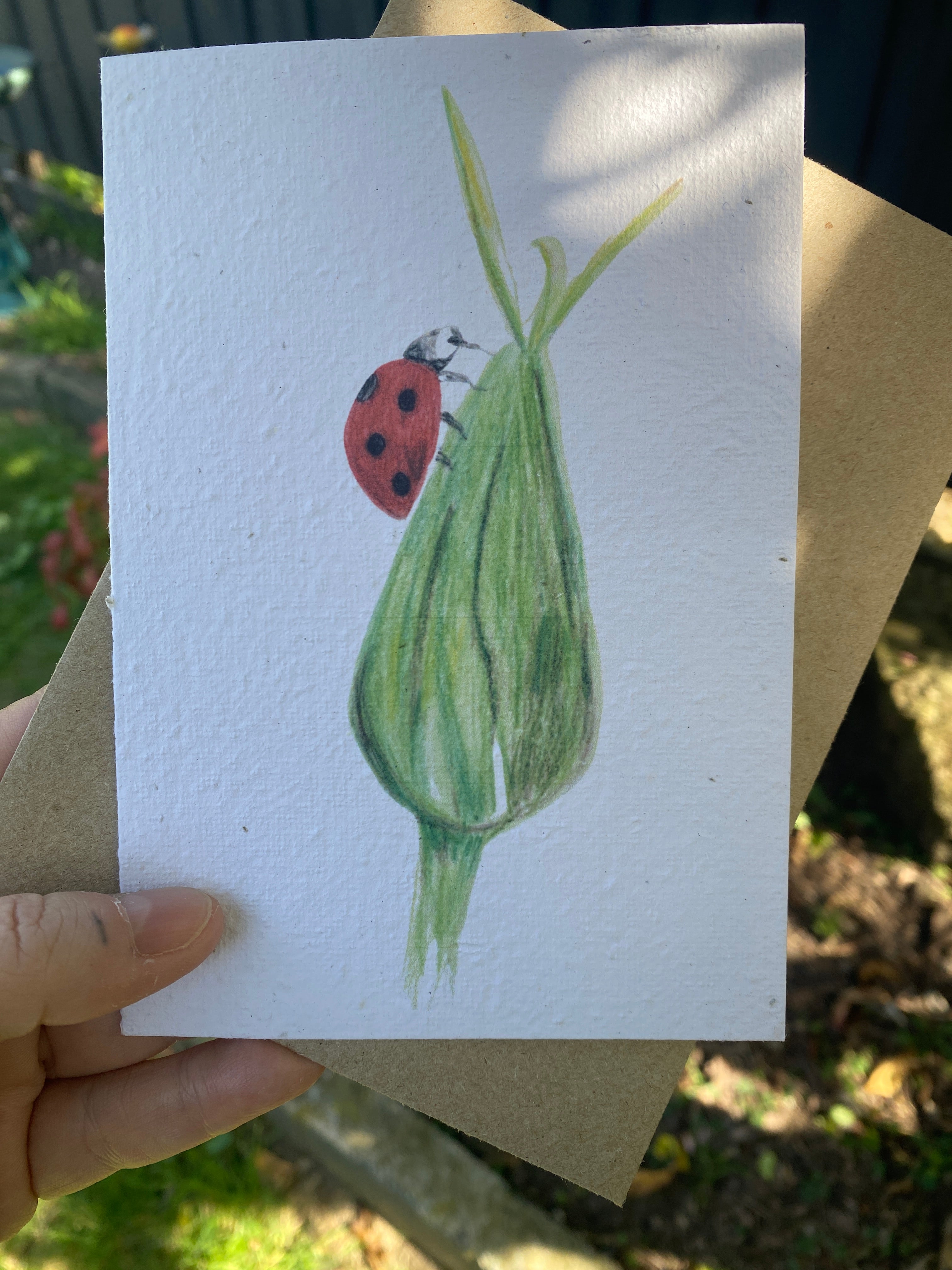 Greeting Card - Ladybird on a bud - Seed embedded card