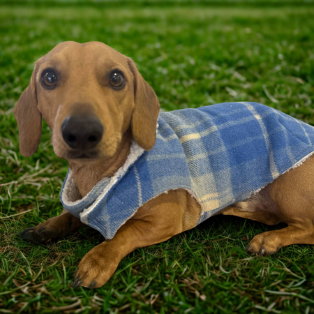 Upcycled woolen dachshund dog, puppy warm coats/jackets