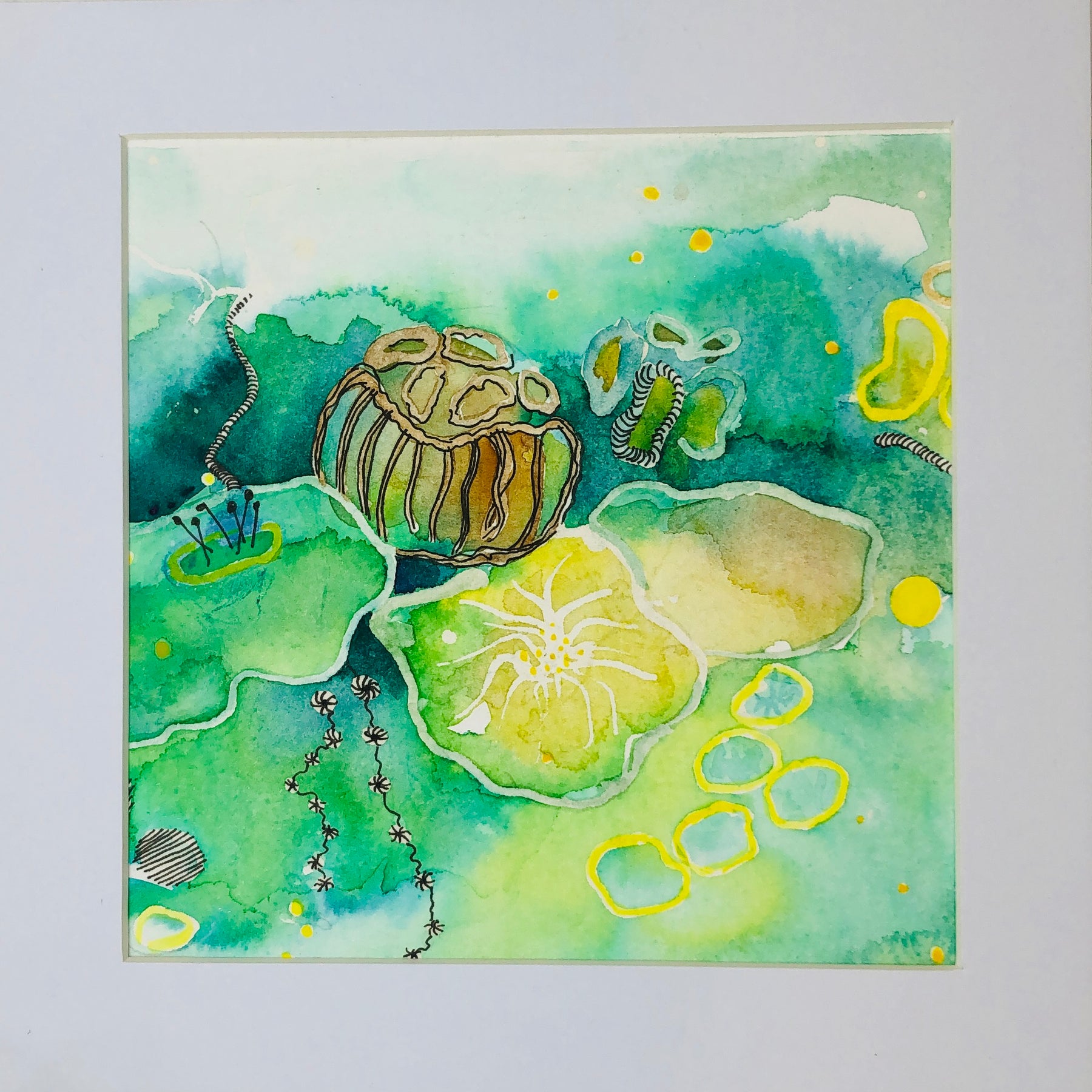 'Lotus Pond'