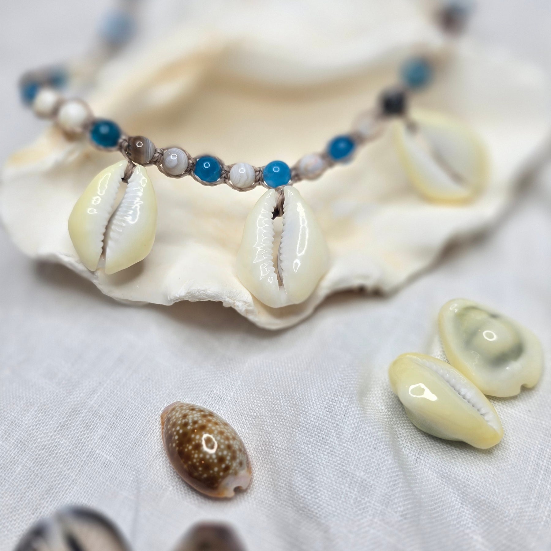 Cowrie Shell Macrame Necklace with Blue Apatite
