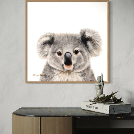 Koala - Australian Wildlife Portrait Canvas Print