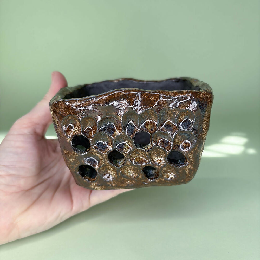 Square orchid pot chocolate size