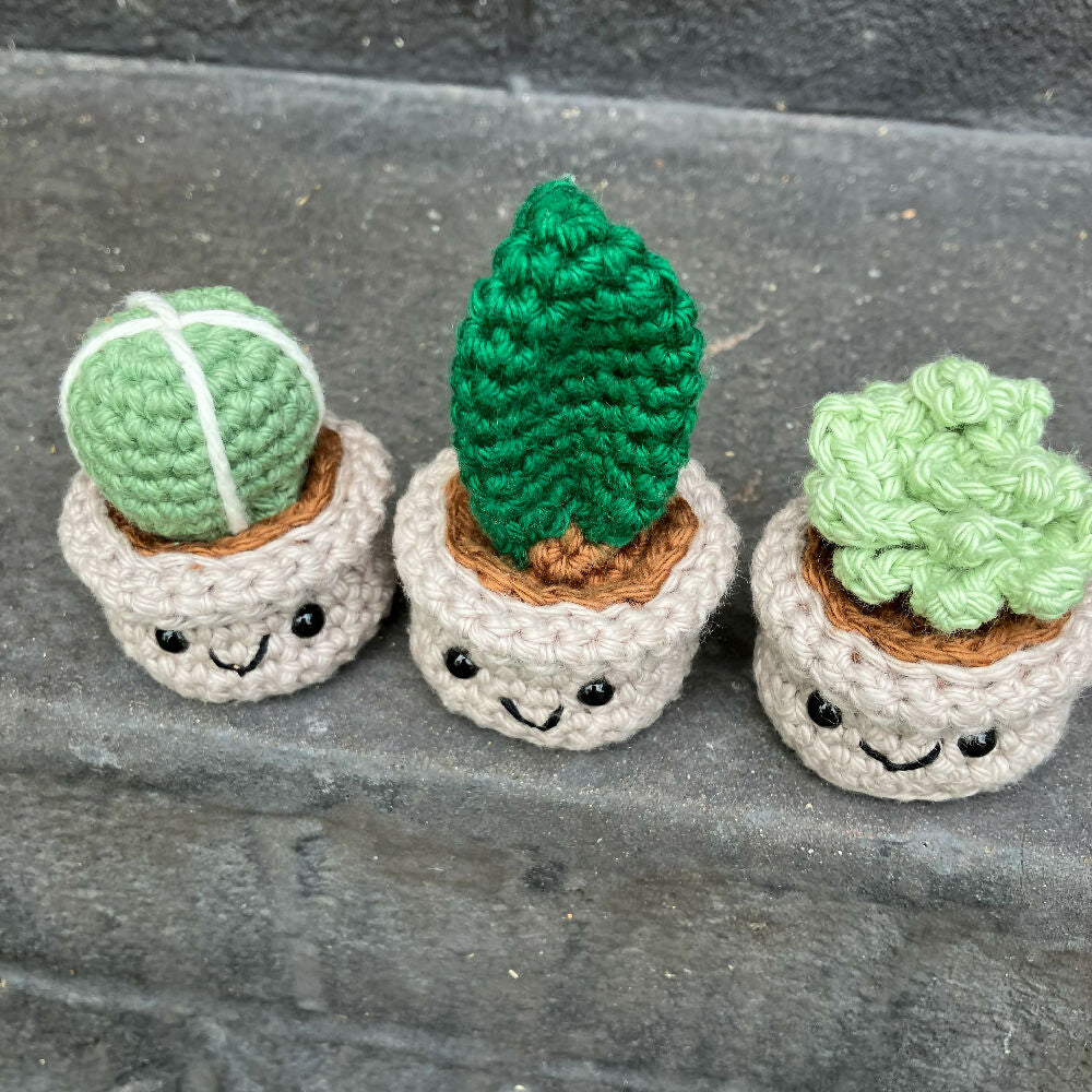 Crochet Succulent and Cacti Trio of Buddies