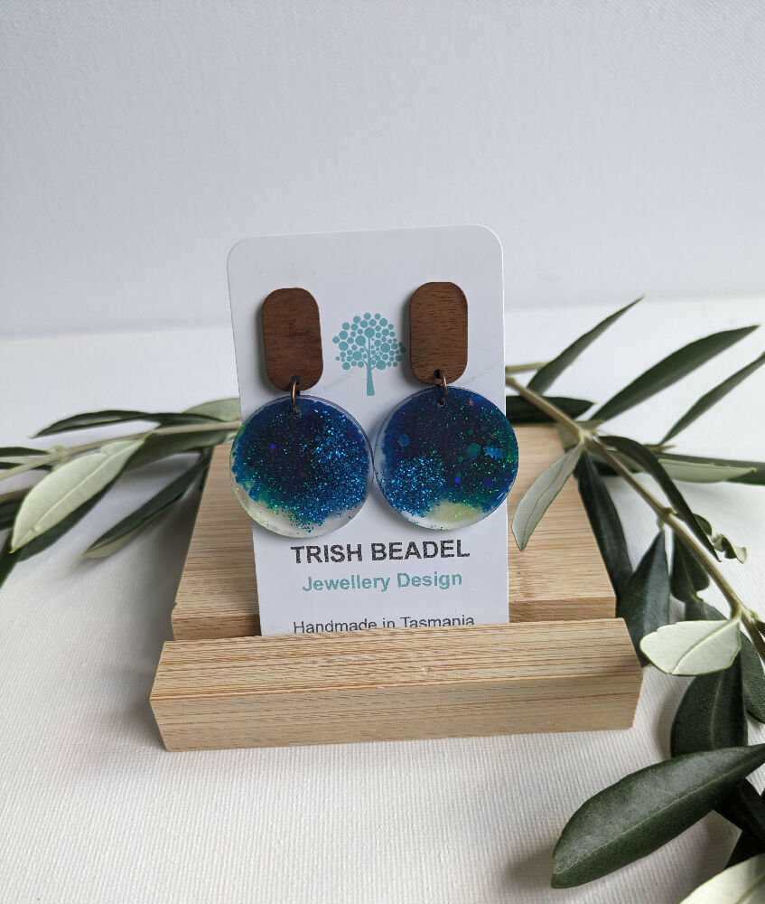 Earrings - Earth 2 piece resin discs on timber studs