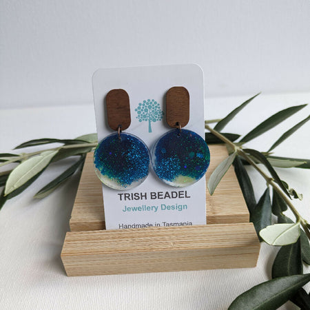 Earrings - Earth 2 piece resin discs on timber studs