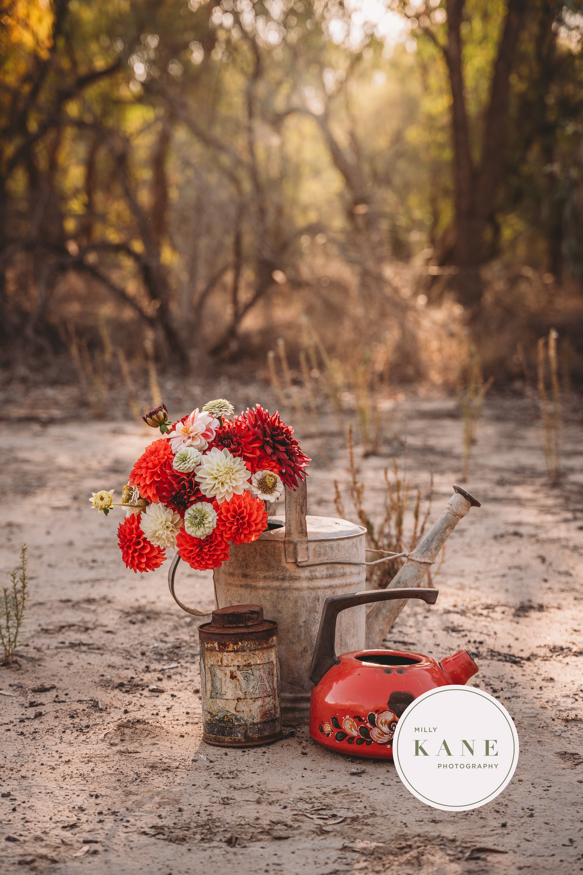 Whimsy in a Watering Can #1