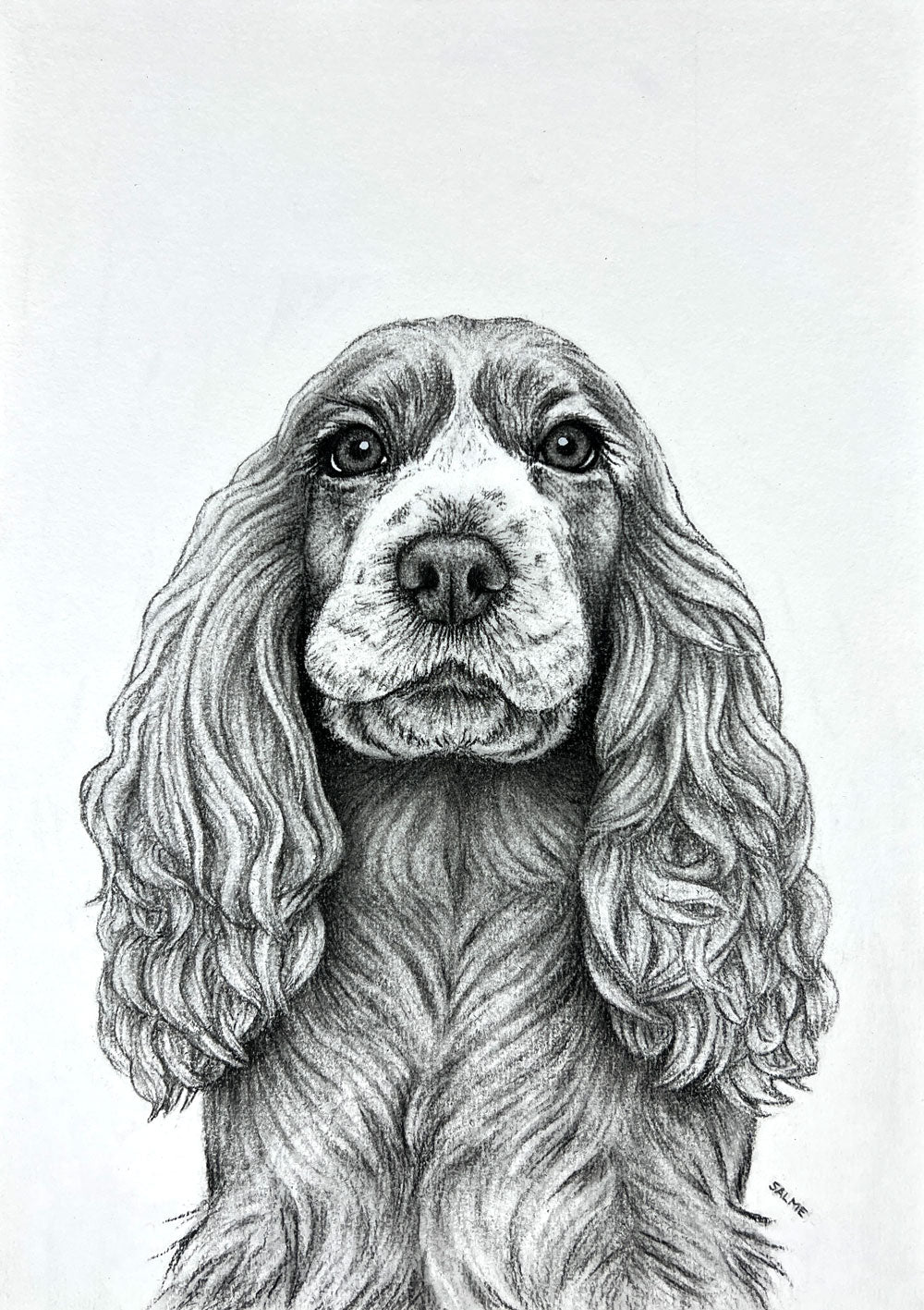 Cocker Spaniel