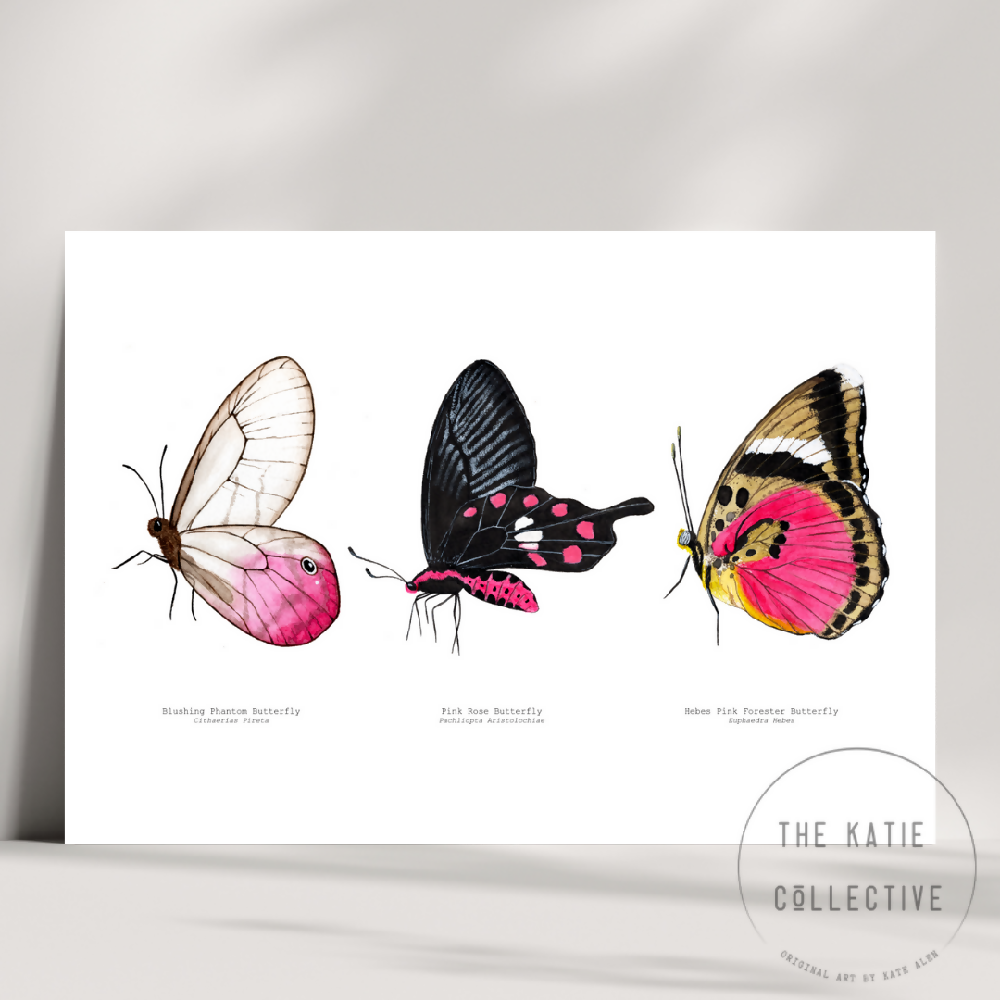 the katie collective - pink butterfly trio