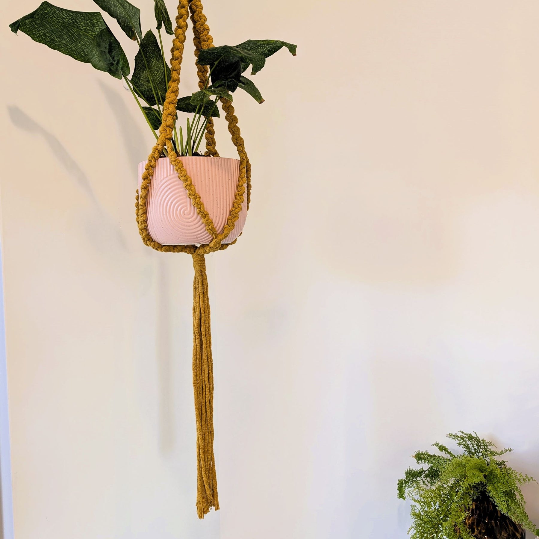 Macrame Plant Hanger - KEMENA