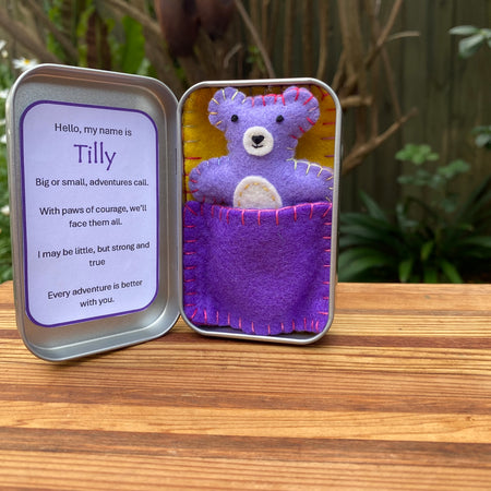 Teddy in a tin - Tilly #1