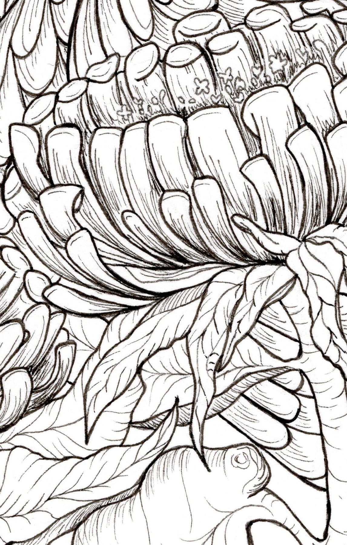Resting in the Flower Patch - A4 Print