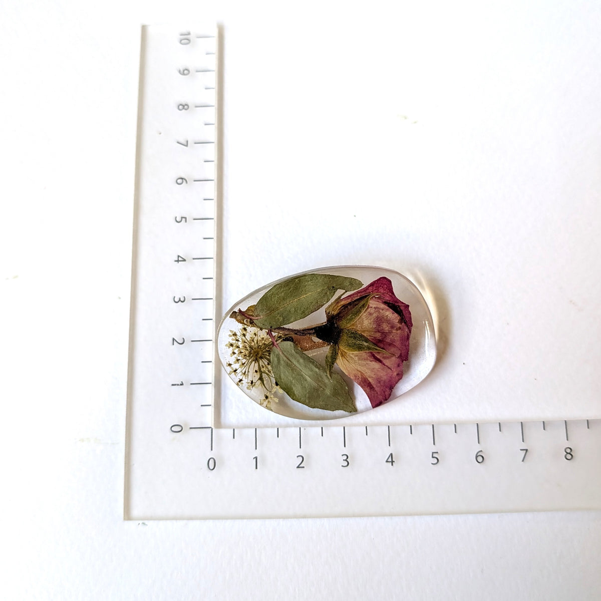 Real Pink Rose Pressed Queen Anne's Lace Floral Brooch