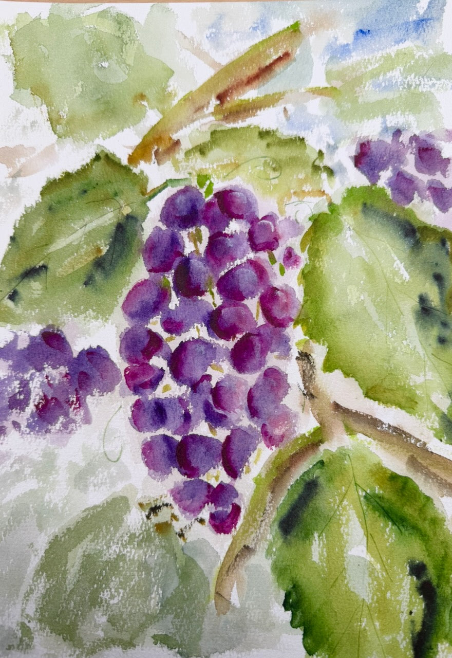 Watercolour Painting Workshop ~ Online ~ Live Event 25/6/26 7pm