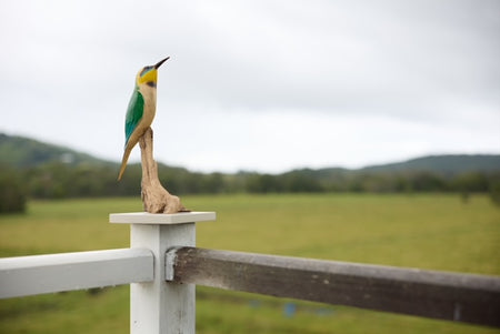 Hand carved Rainbow Bee-eater sculpture