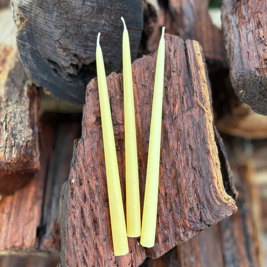 Slim Tall Beeswax Taper Candles