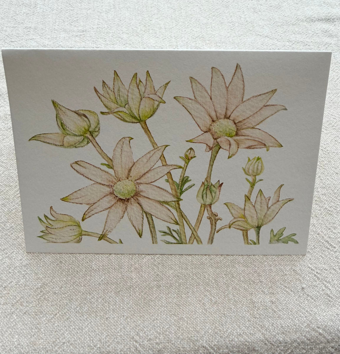 Flannel Flower Botanical Art Card - Handmade Watercolor Greeting Card
