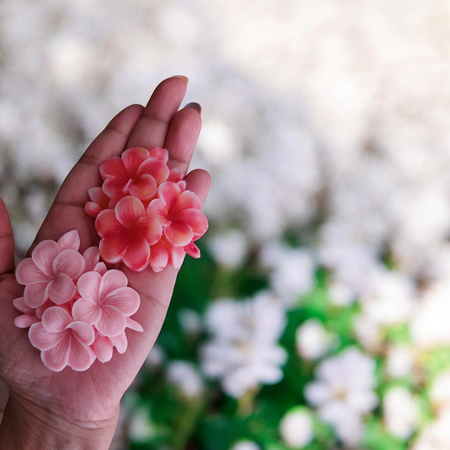 Scented Soy Wax Melts - Frangipani Whisper (single)