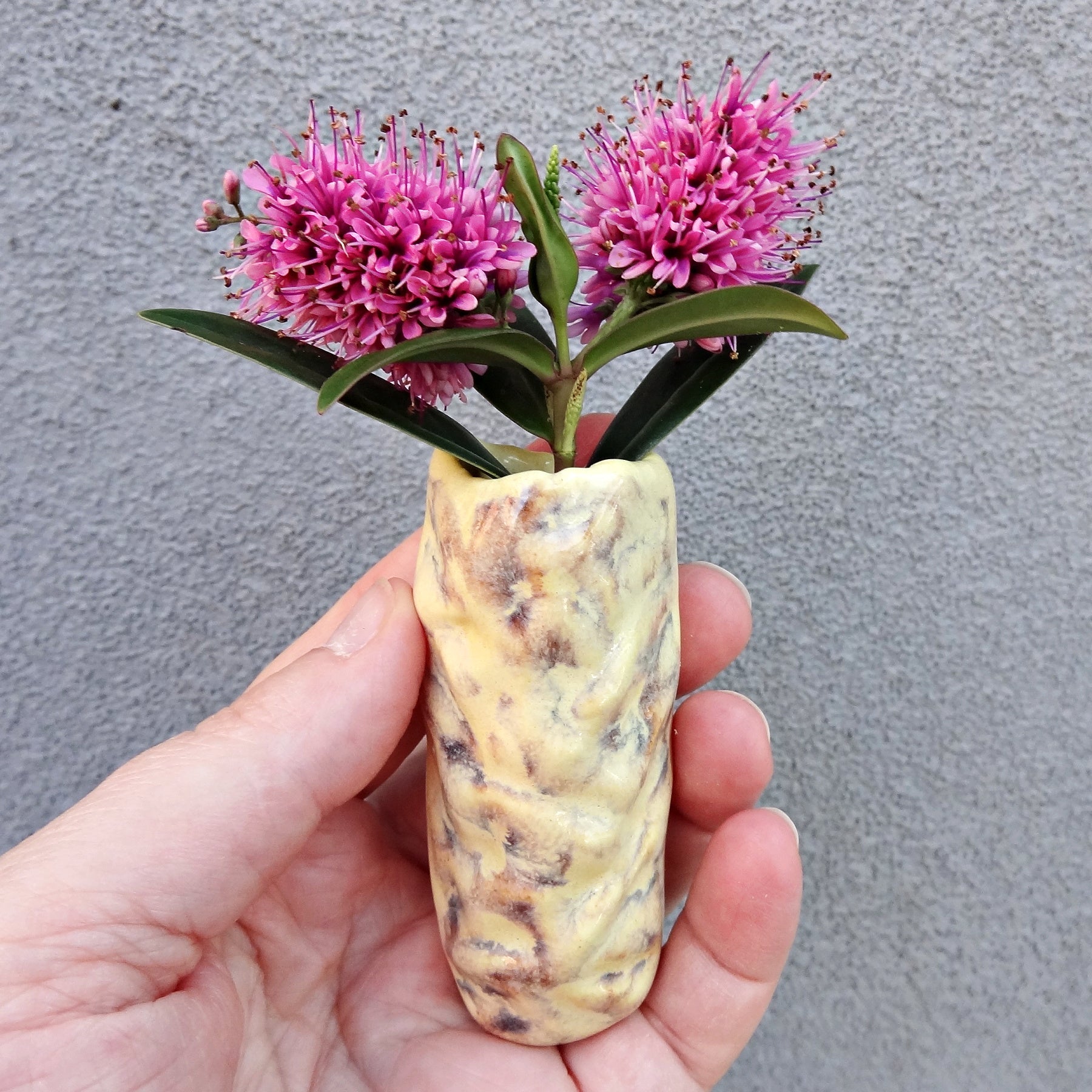 Mini ceramic fridge magnet vases. Choose your own vases.