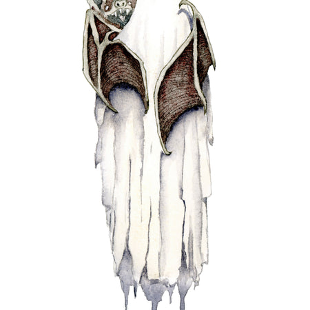 BATTY BOO ARCHIVAL PRINTS AND CARD - TANGLED ROSE ART