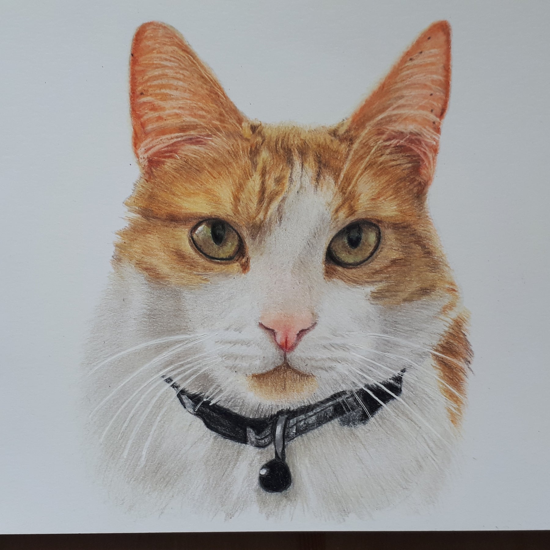 Pet Portrait Gift Certificate - Great Gift Idea