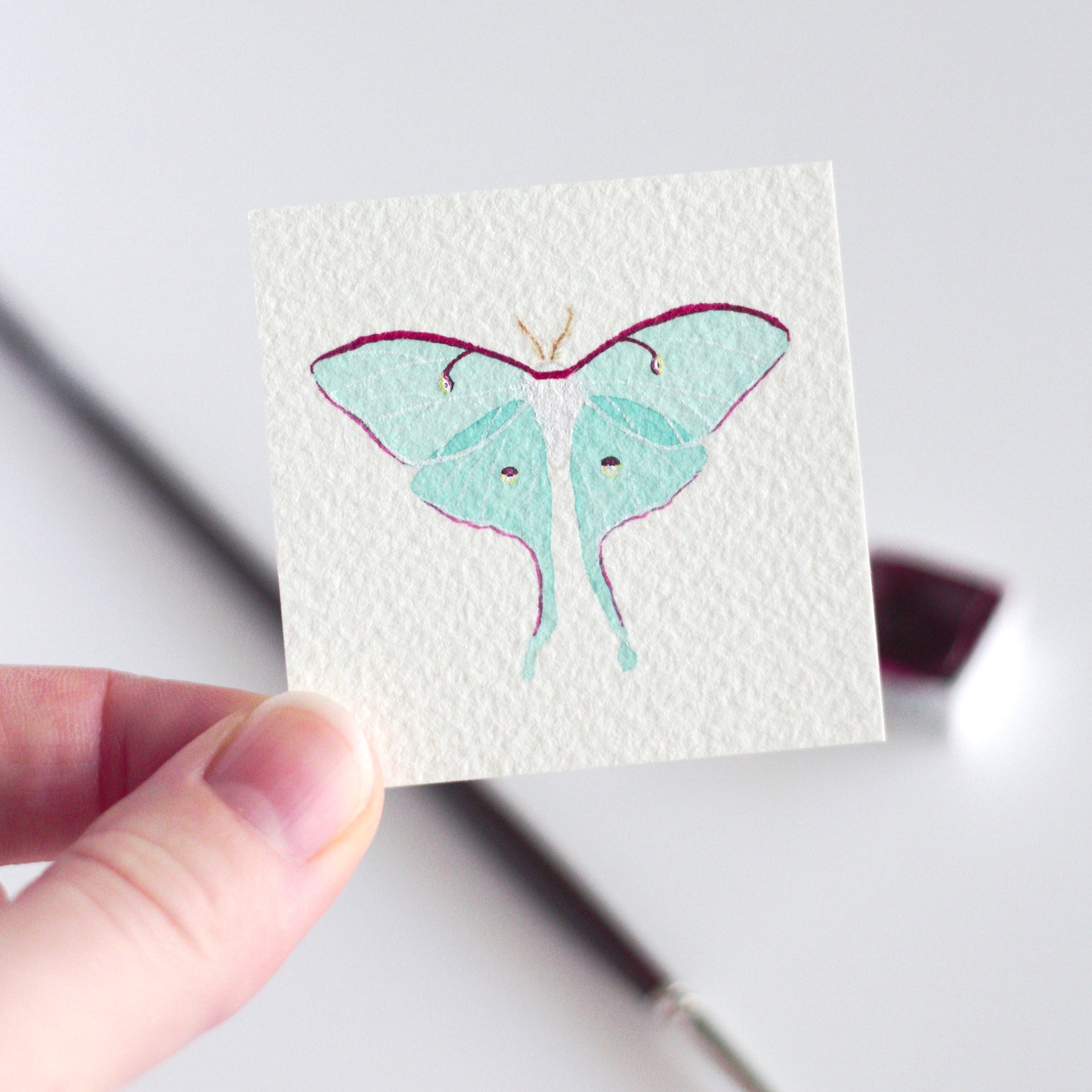 Luna Moth Tiny Watercolour Painting