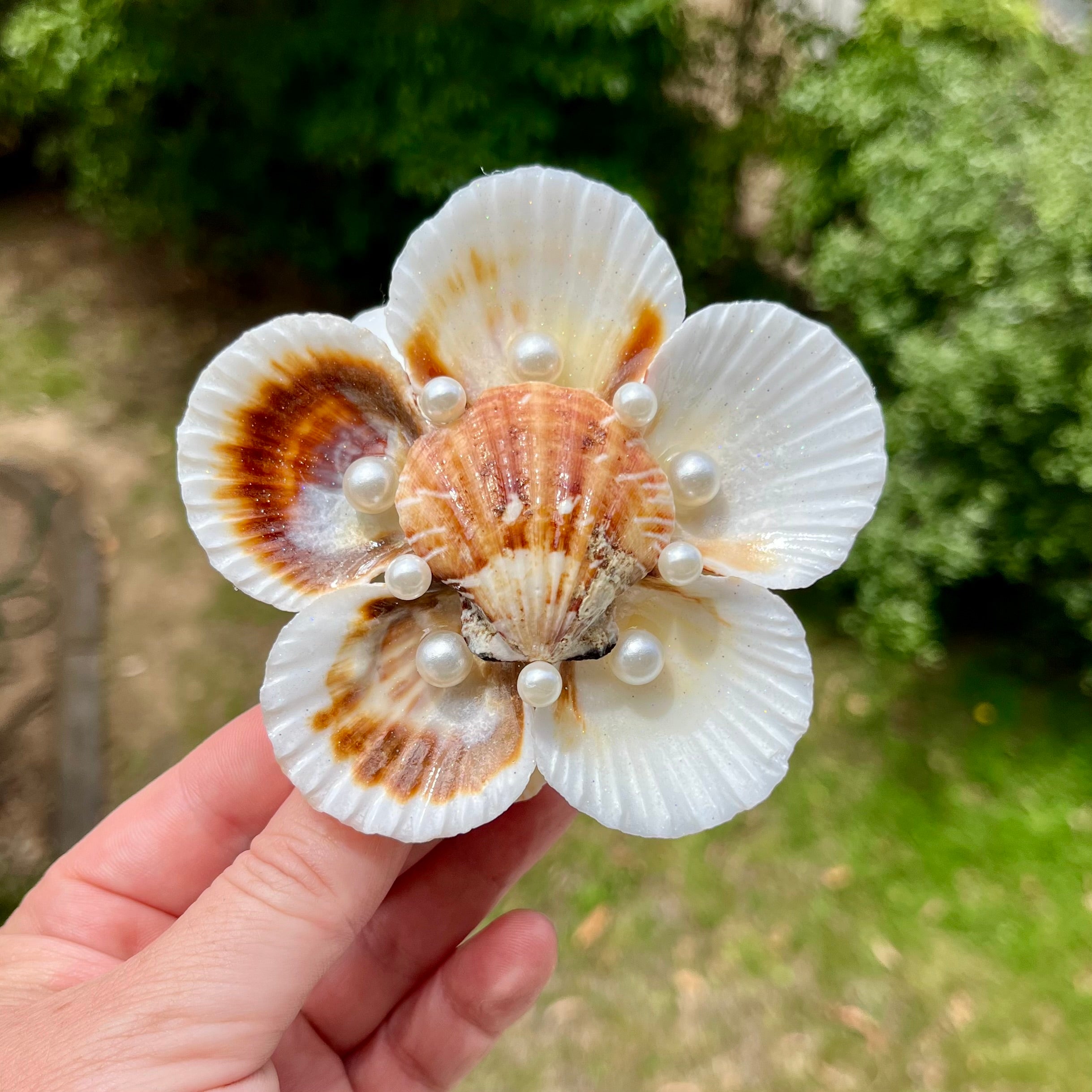 Small Scallop Shell Flower Tray