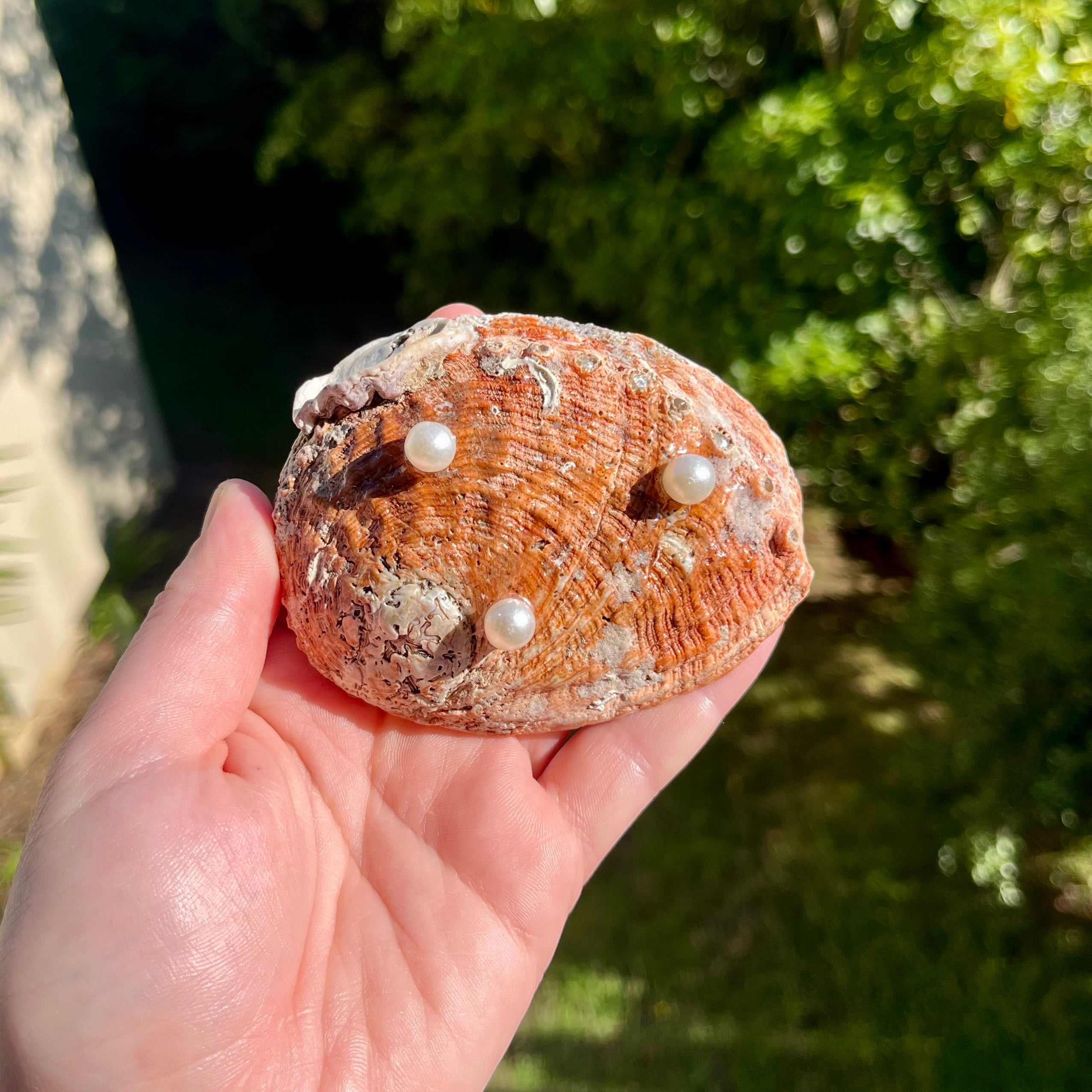 Mermaid Ocean Shell Trinket Dish