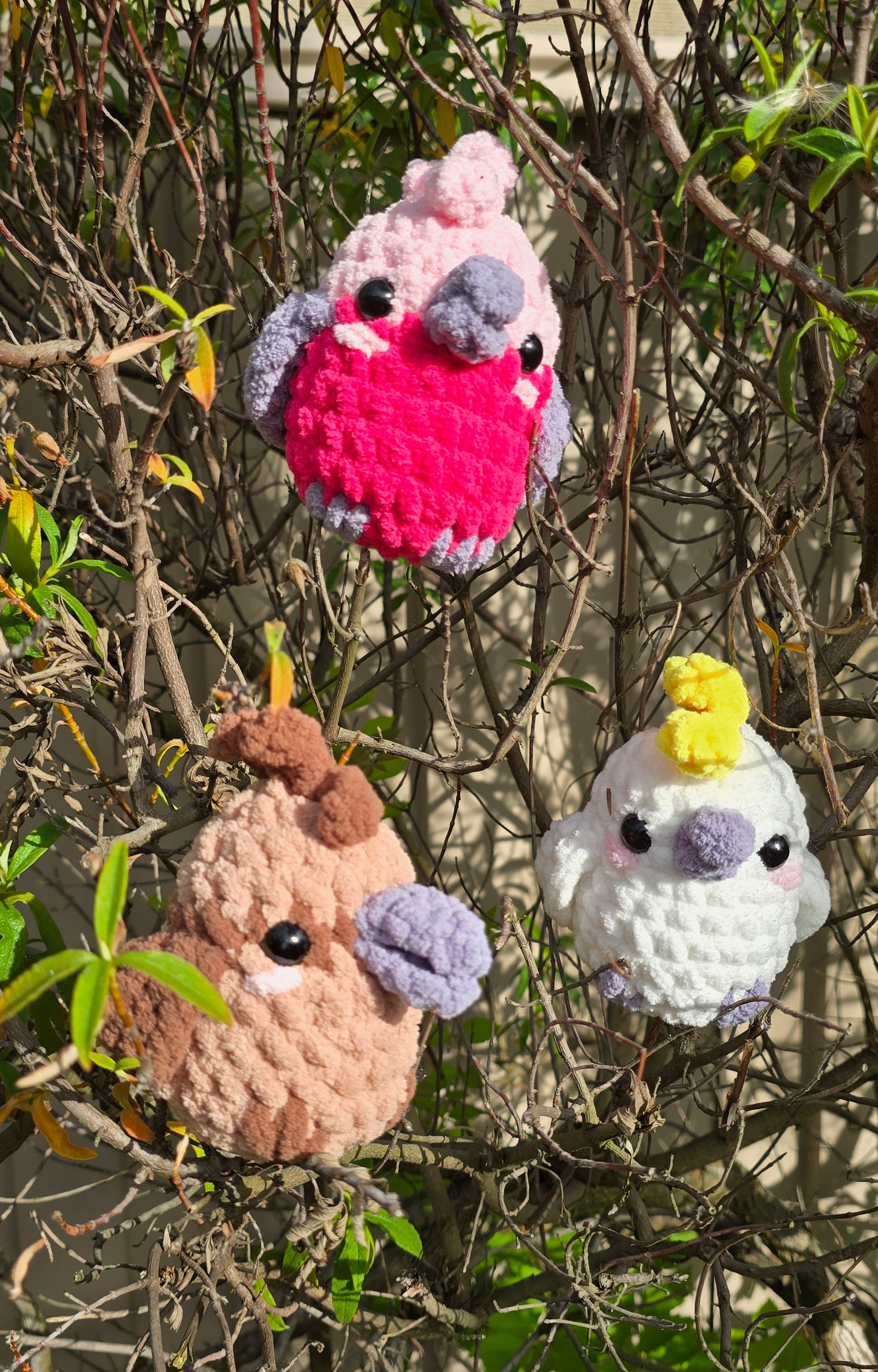Crochet Australian Birds