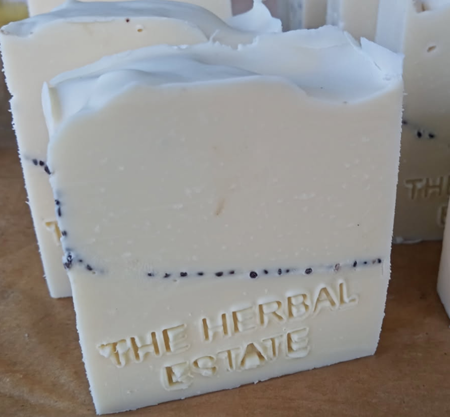2 bars Rice Water & Rosemary with Chia seeds Shampoo Bars | Cold Processed 120g each | Hair Growth stimulation and Moisturising