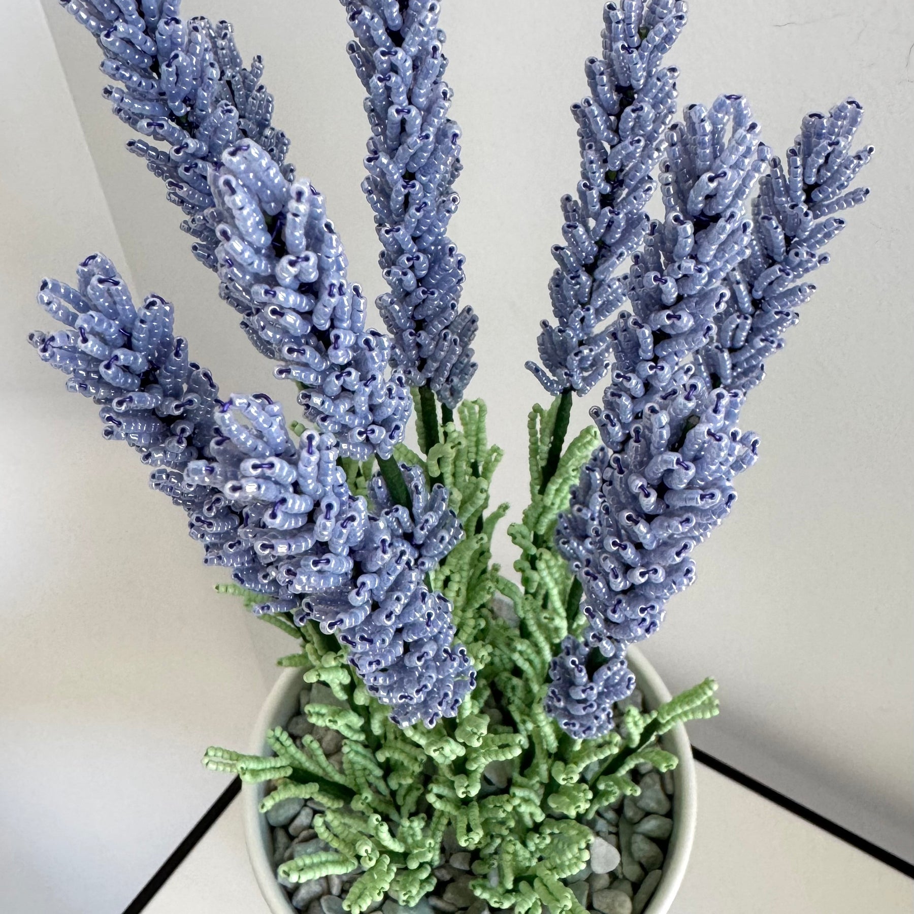 French-beaded potted lavender
