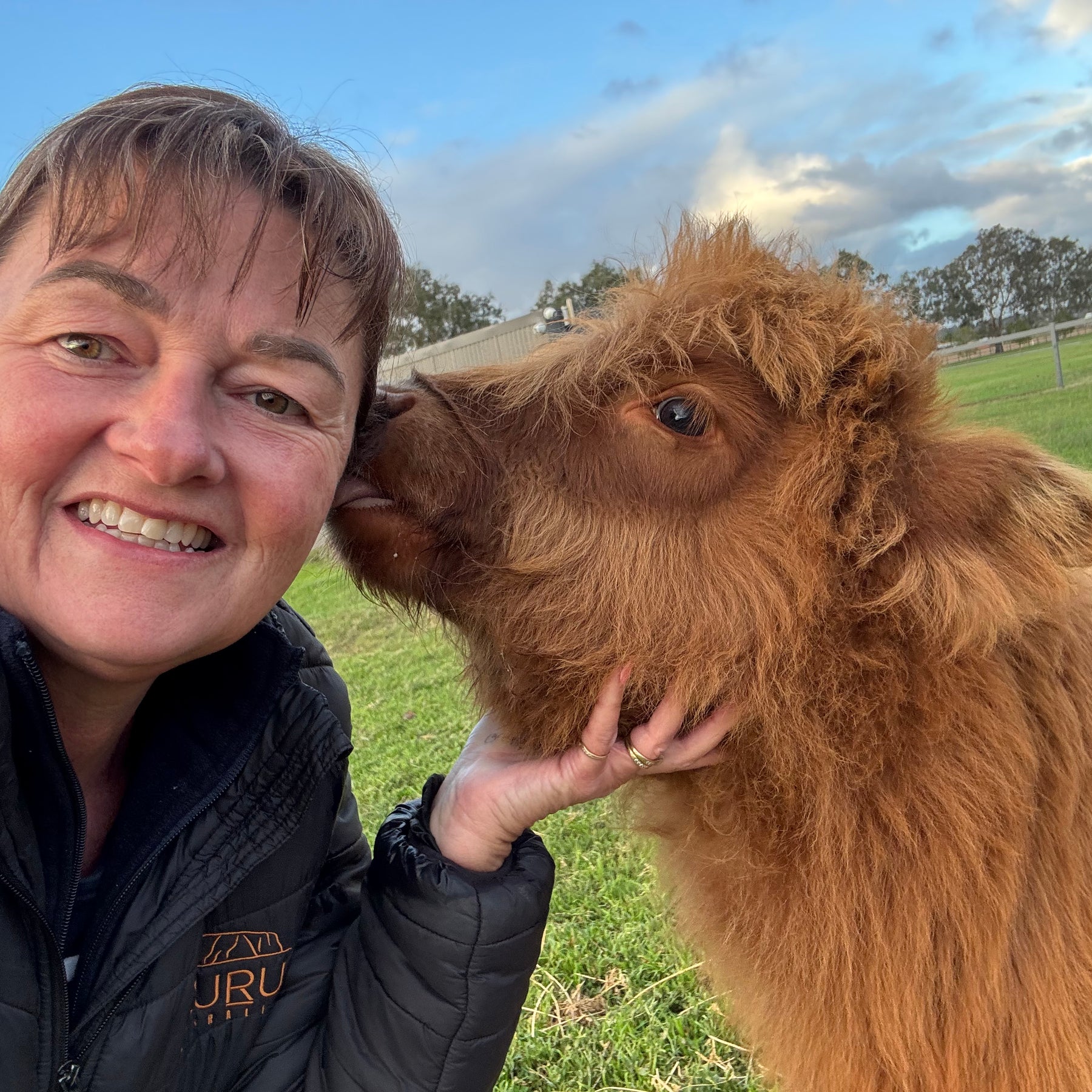 “Charlotte “ Highland Cow Earrings
