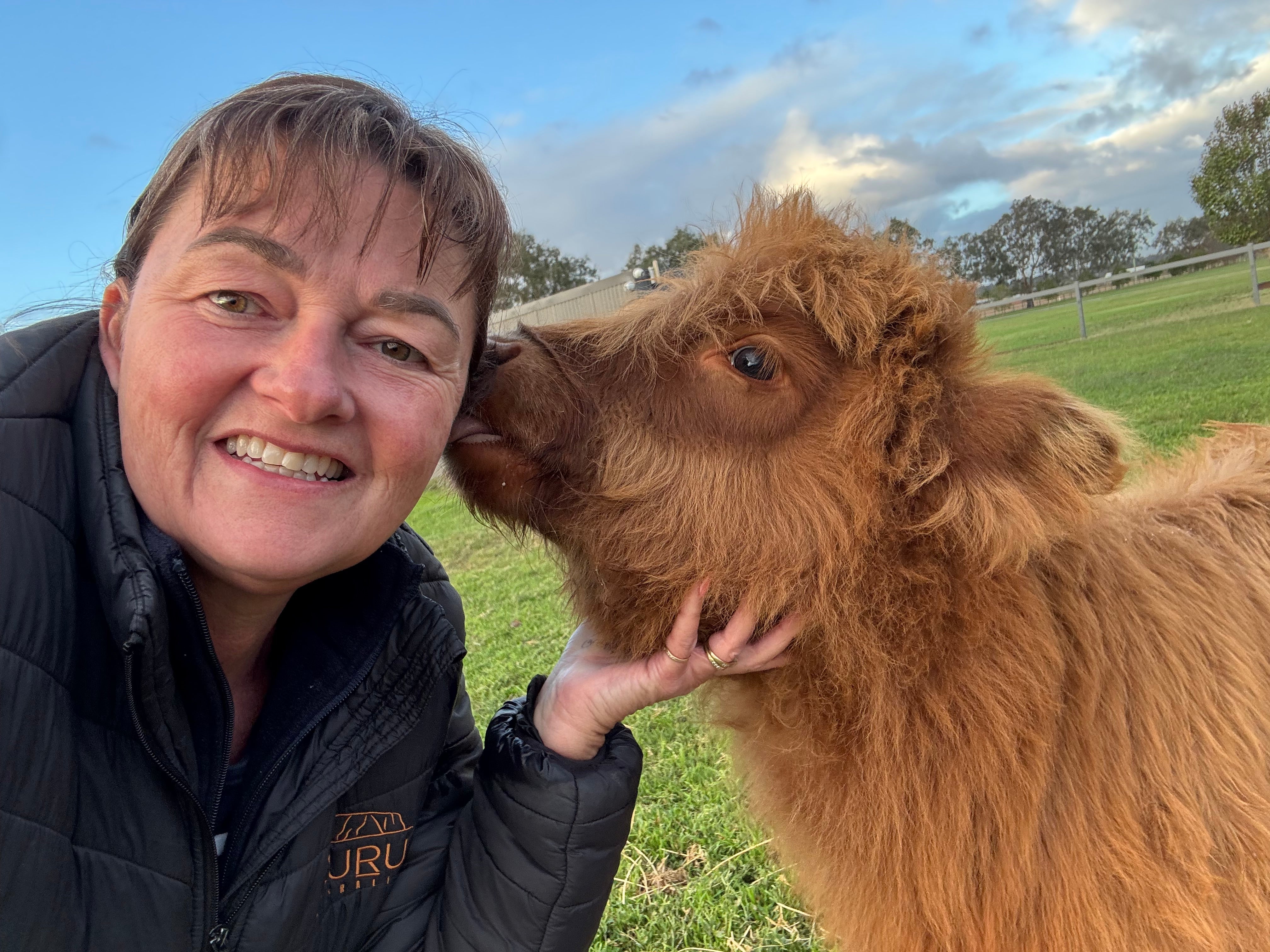 “Charlotte “ Highland Cow Earrings