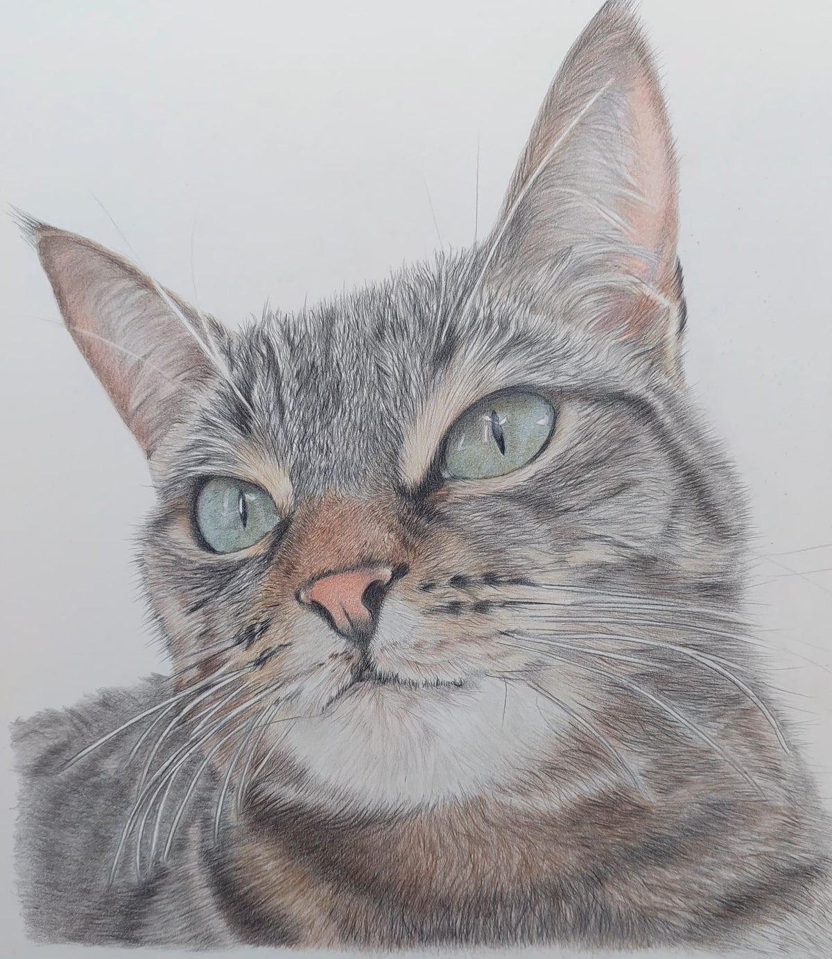 Pet Portraits Hand drawn in Pencil